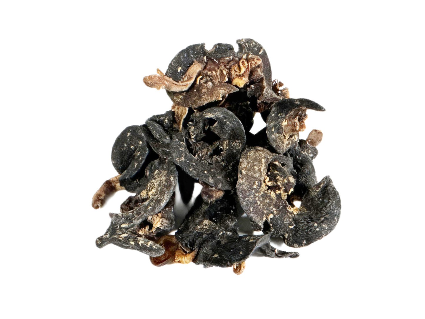 African Bush Snail – 10 Pieces | Cleaned, Washed & Seasoned | Ready for Cooking