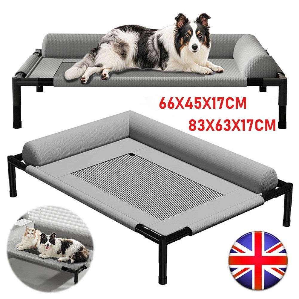 Pet Accessories