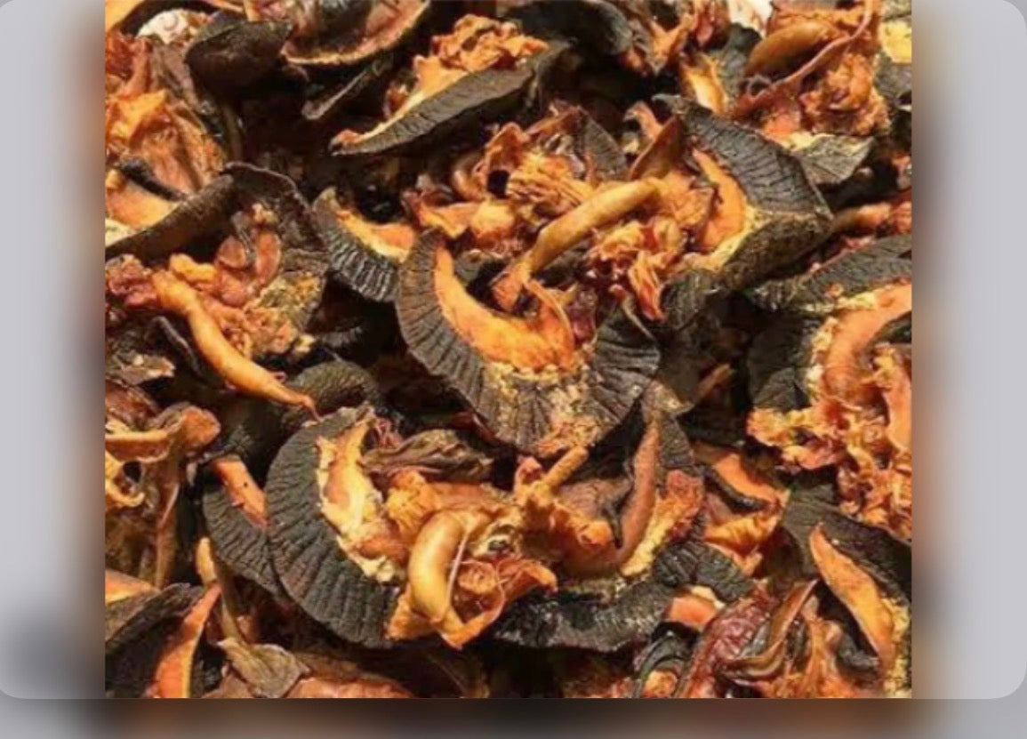 African Bush Snail – 10 Pieces & 100g| Cleaned, Washed & Seasoned | Ready for Cooking