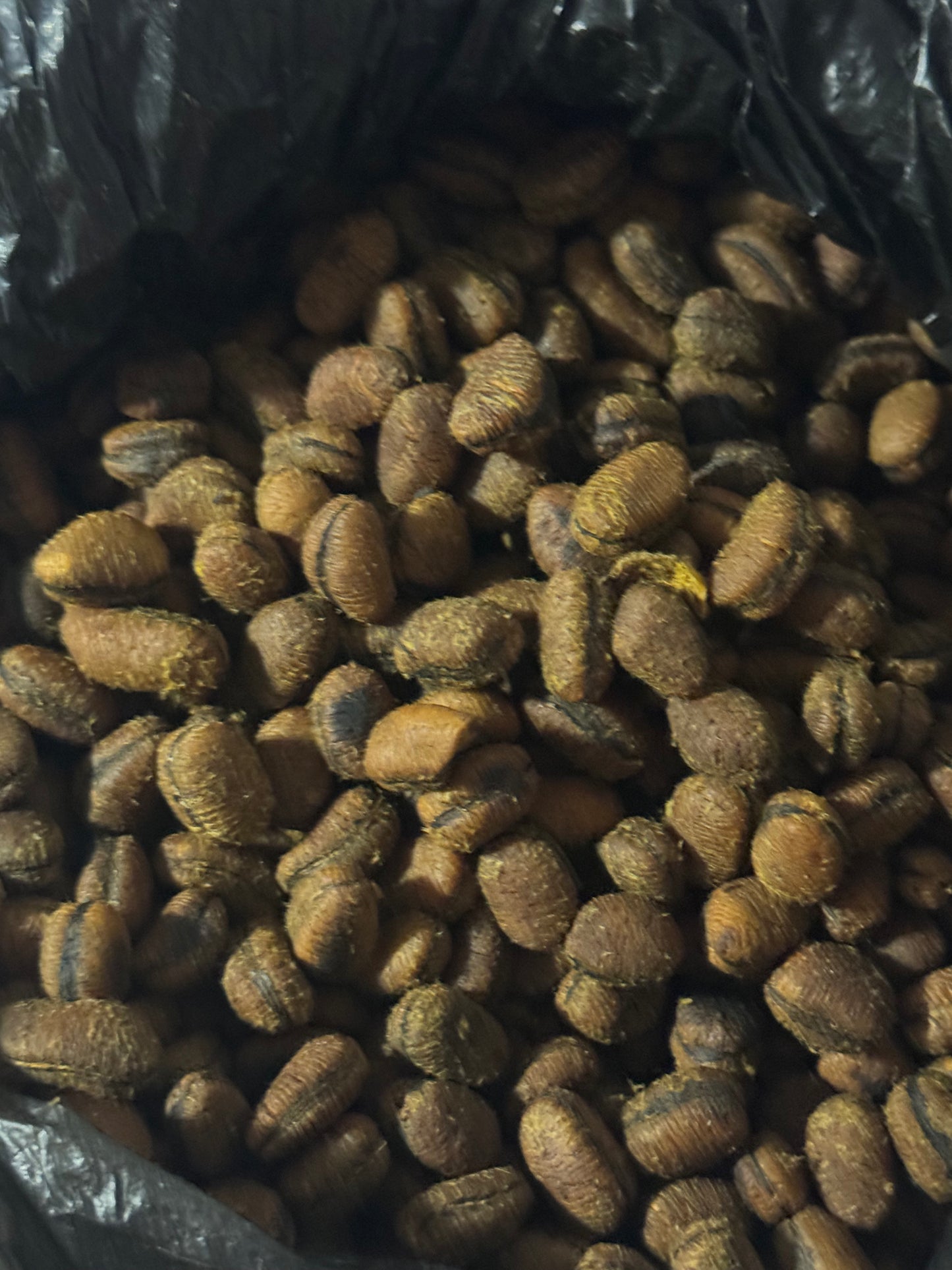 Ehuru (African Nutmeg) | Calabash Nutmeg | Efuru Spice | Whole Aromatic Seeds