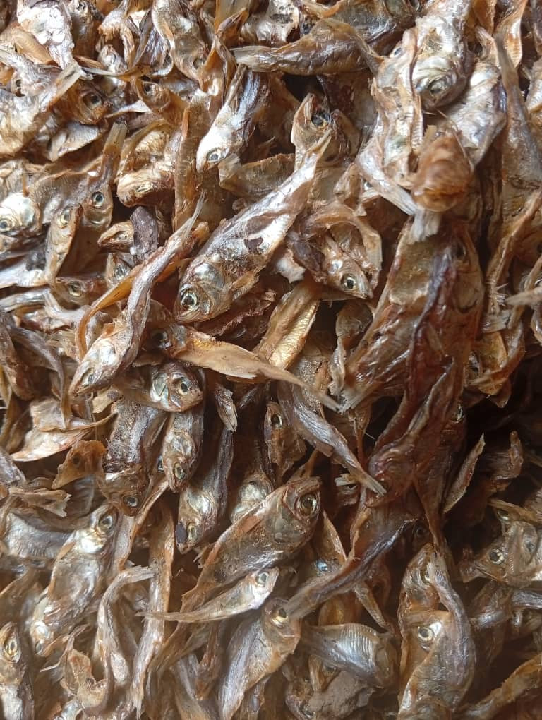 Premium Dried Sprat Fish (Omena) | Small Dried Fish | African Food UK