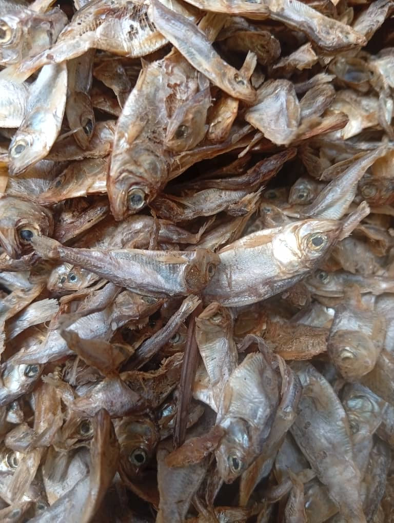 Premium Dried Sprat Fish (Omena) | Small Dried Fish | African Food UK