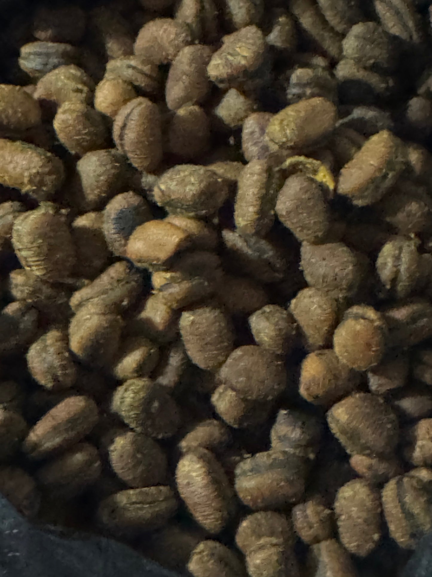 Ehuru (African Nutmeg) | Calabash Nutmeg | Efuru Spice | Whole Aromatic Seeds