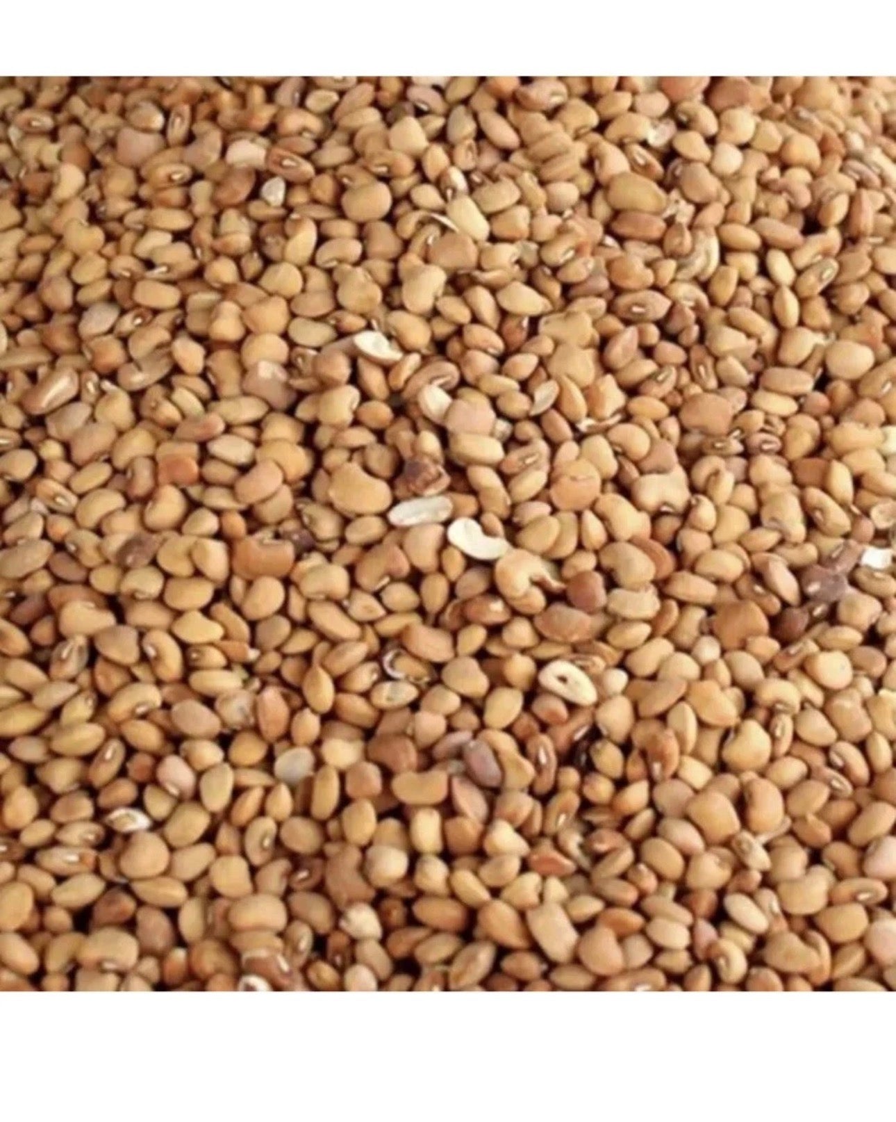 Premium Honey Beans – Nigerian Brown Beans | Clean & Stone-Free | Multiple Sizes
