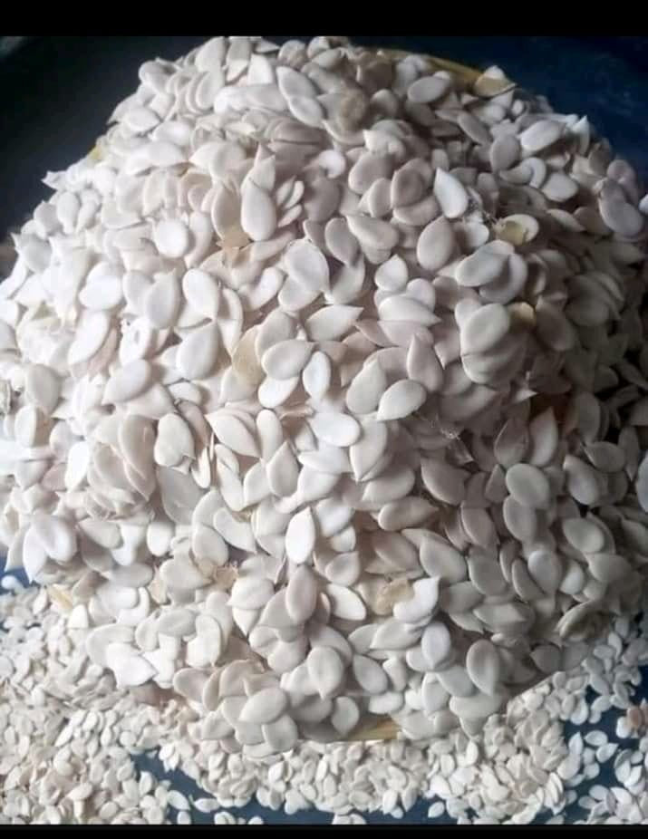 Premium Egusi Seeds