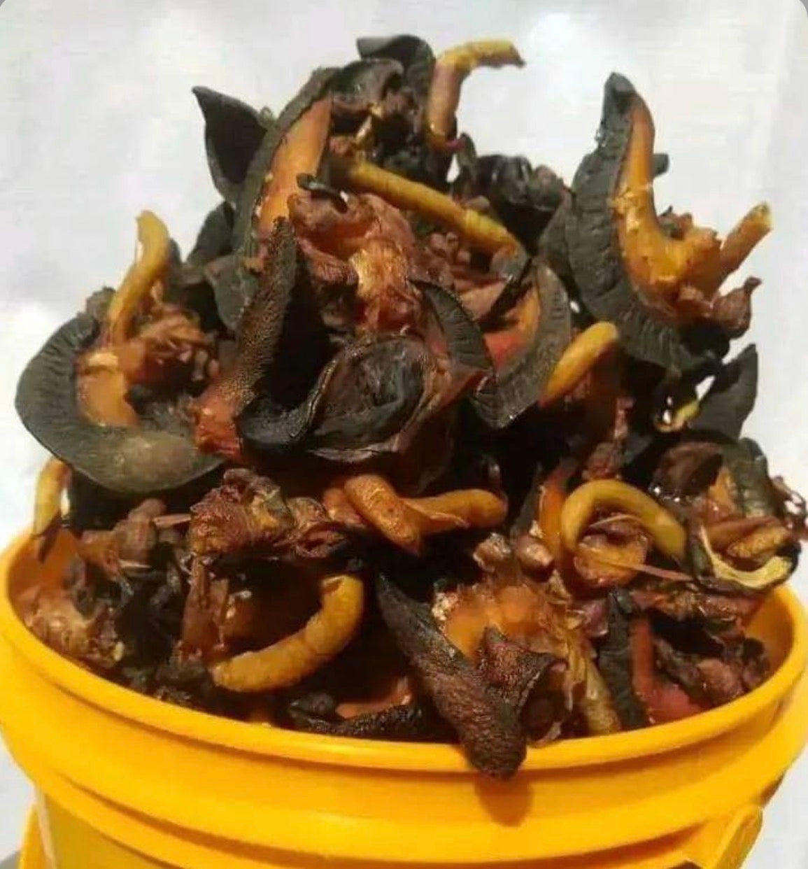 African Bush Snail – 10 Pieces & 100g| Cleaned, Washed & Seasoned | Ready for Cooking
