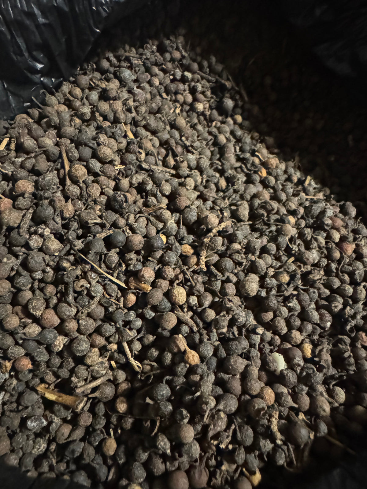 Uzuza Seeds (Uziza Seeds) – African Black Pepper | Nigerian Pepper Soup Spice