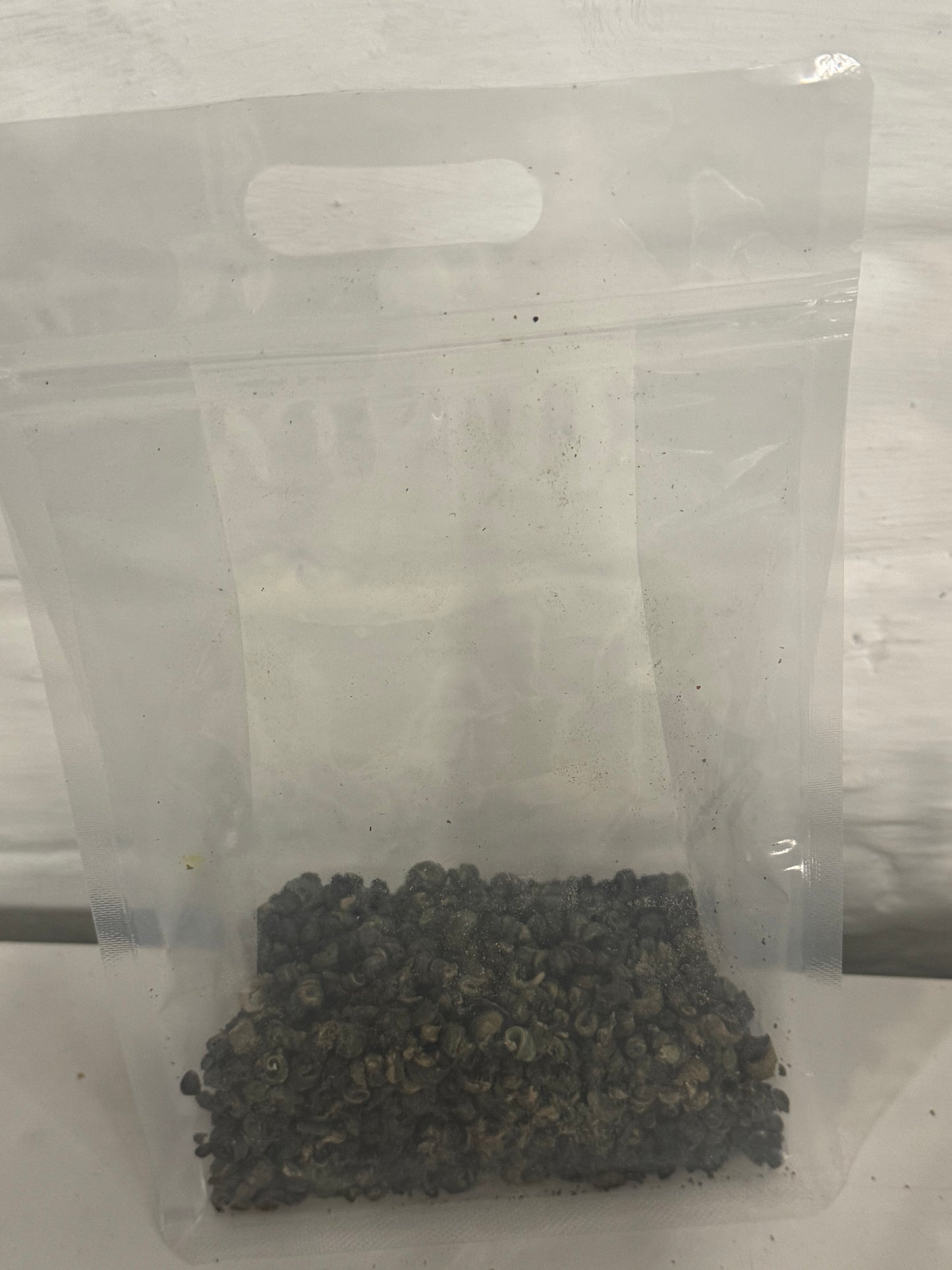 Dehydrated Periwinkle (Nkoro) | Premium Quality | Cleaned & Ready to Cook 100g