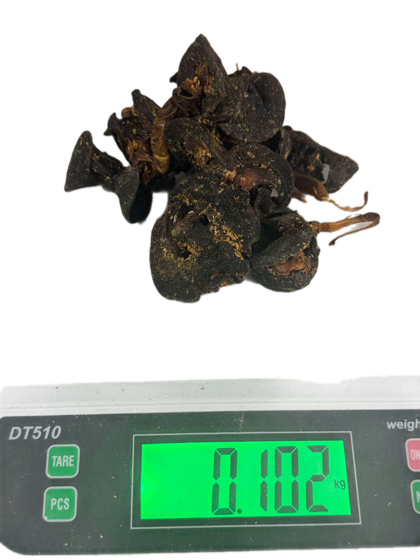 African Bush Snail 100g | Cleaned, Washed & Seasoned | Ready for Nigerian Soups