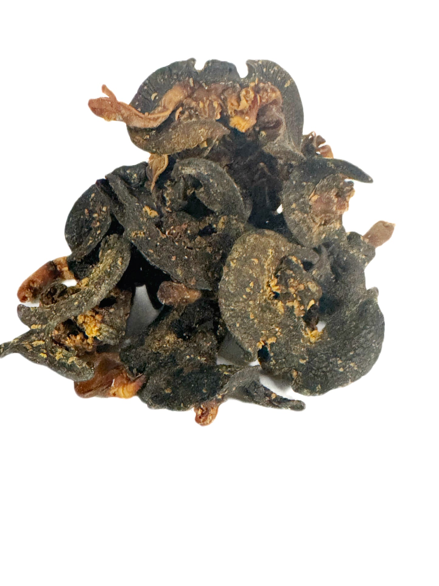 African Bush Snail 100g | Cleaned, Washed & Seasoned | Ready for Nigerian Soups