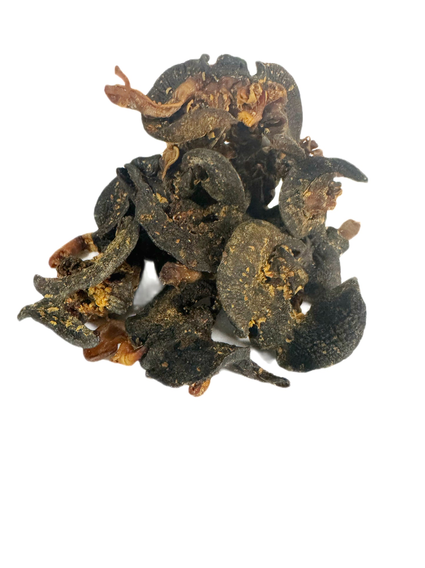 African Bush Snail 100g | Cleaned, Washed & Seasoned | Ready for Nigerian Soups