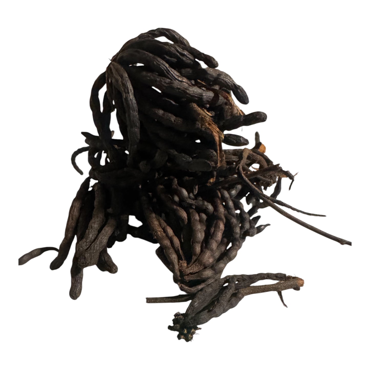 Uda Whole Negro Pepper Grains of Selim Xylopia Aethiopica African Spice