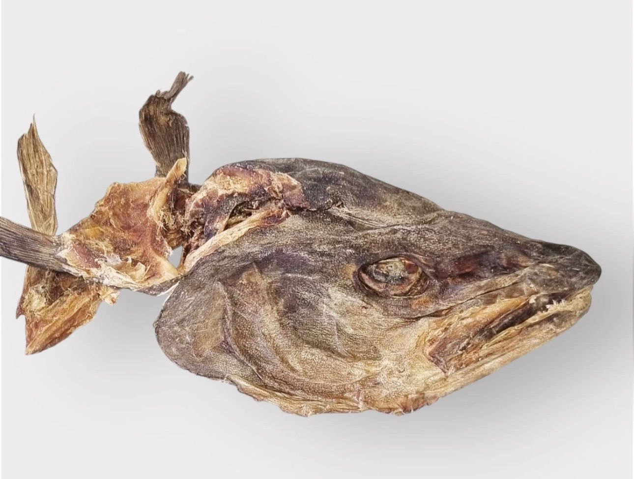 Premium Stock Fish Head (Isi Okporoko) - Dried Fish UK Delivery